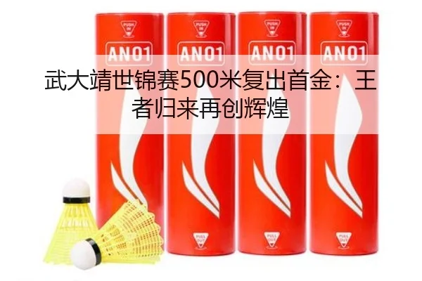 武大靖世锦赛500米复出首金：王者归来再创辉煌