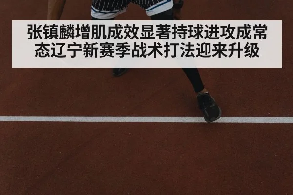 张镇麟增肌成效显著持球进攻成常态辽宁新赛季战术打法迎来升级