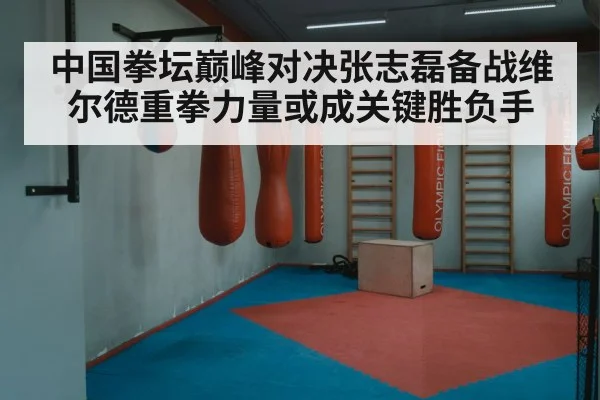 中国拳坛巅峰对决张志磊备战维尔德重拳力量或成关键胜负手