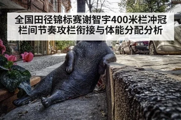全国田径锦标赛谢智宇400米栏冲冠栏间节奏攻栏衔接与体能分配分析